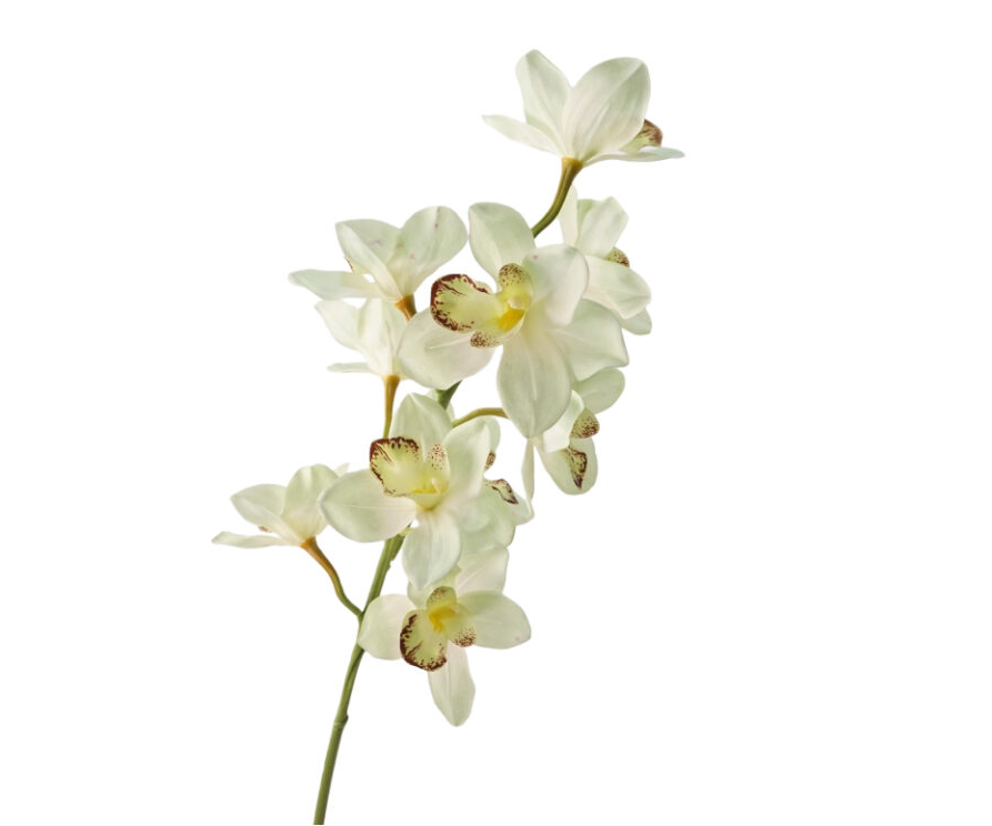 Real Touch Green Cymbidium Orchid Stem, 91cm