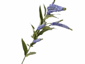 Real Touch Blue Veronica Stem, 71cm