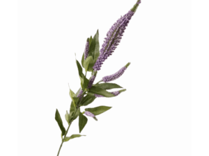 Real Touch Lilac Veronica Stem, 71cm