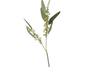 Real Touch Seeded Eucalyptus, 61cm