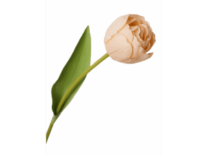 Real Touch Peach Tulip with Leaves, 46cm
