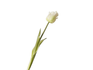 Real Touch White Peony Tulip Stem, 47cm