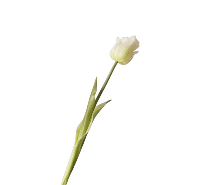 Real Touch White Peony Tulip Stem, 47cm