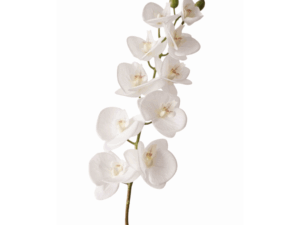 Real Touch White Phalaenopsis White Stem, 78cm