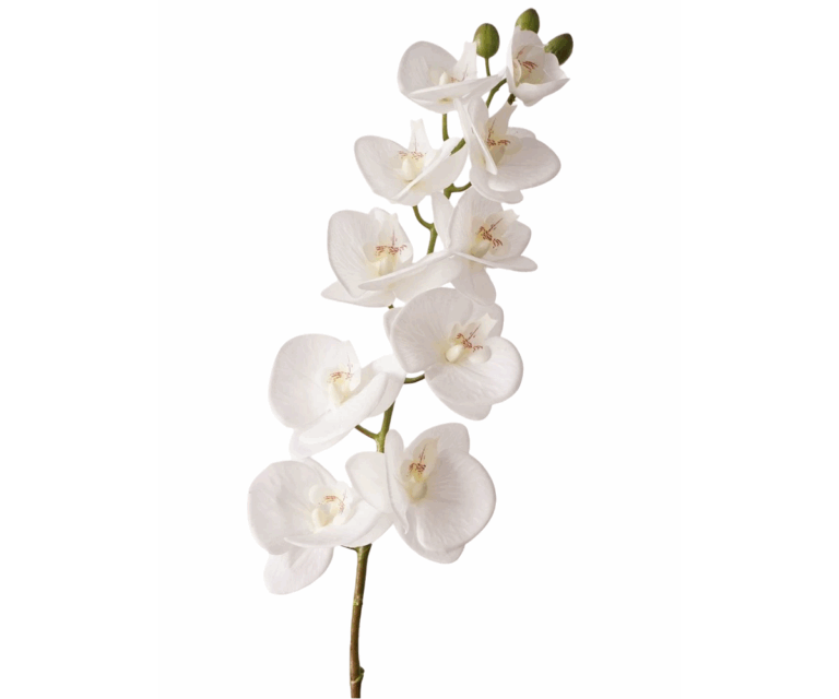 Real Touch White Phalaenopsis White Stem, 78cm