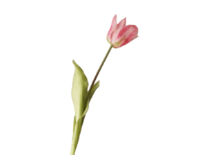 Real Touch Pink Parrot Tulip Stem, 47cm
