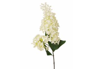 Real Touch White Lilac Stem, 73cm