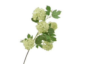 Real Touch Green Double Hydrangea Stem, 68cm